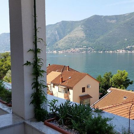 Villa Olivia Kotor Kültér fotó